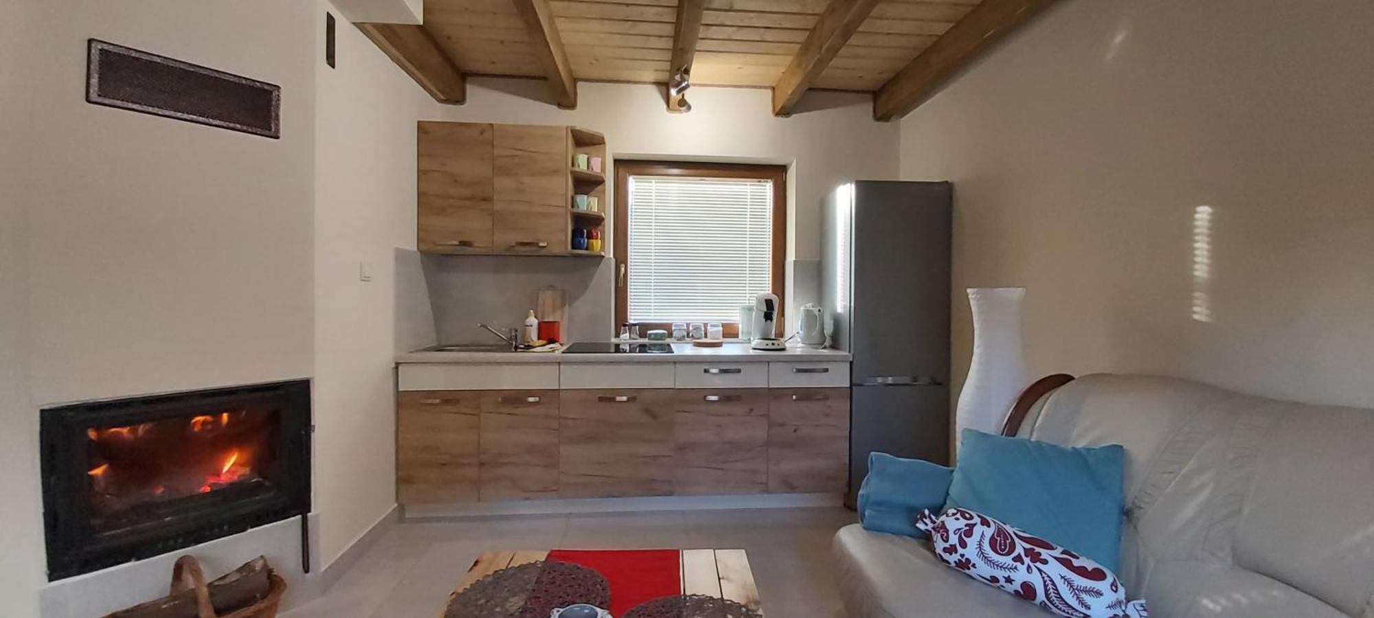 Ferienhaus Elza Polańczyk